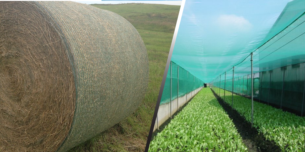 Netting